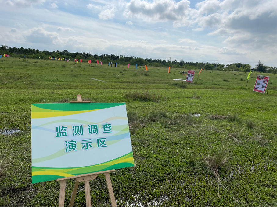 圖片4.png 圖片4.png