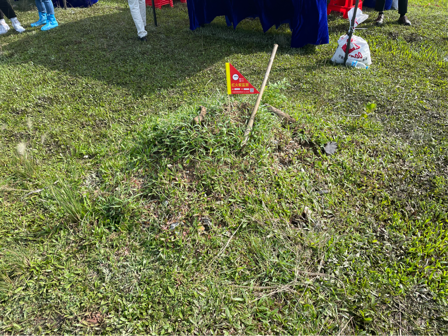 圖片5.png 圖片5.png